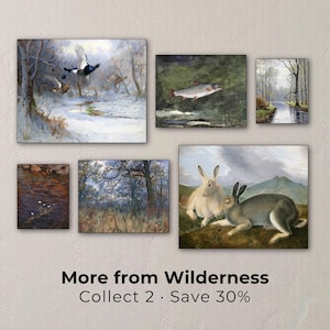 The image is a collage of seven paintings depicting various scenes of nature, including birds, fish, and rabbits.