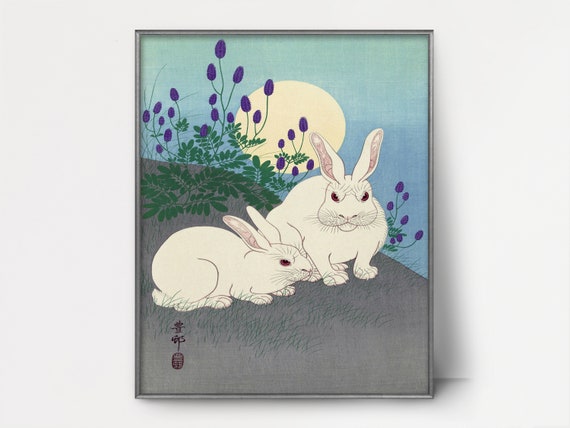 20+ Rabbit Snake One Piece