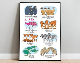 Lámina infantil de animales, lámina infantil, sustantivos colectivos, decoración infantil, póster educativo, lámina A4, lámina A3