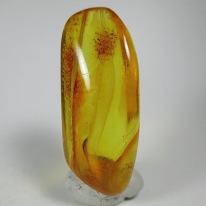 May include: A smooth, yellow amber stone with a swirl pattern and inclusions. The stone is polished and has a glossy finish.