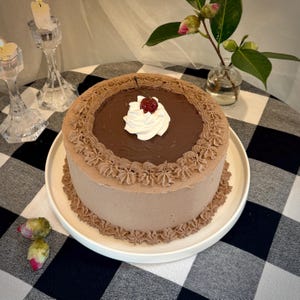 Fake Cake Chocolate with Cherry