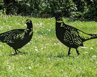 Laser Cut Metal Pheasant Garden Art.  Galvanized Sheet. Satin Black. Outdoor Wildlife Decor