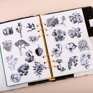 Autocollants de fruits de fleurs noirs et blancs 24pcs, Bel autocollant botanique floral de tournesol, planificateur Junk Journal Bujo Scrapbook Supplies