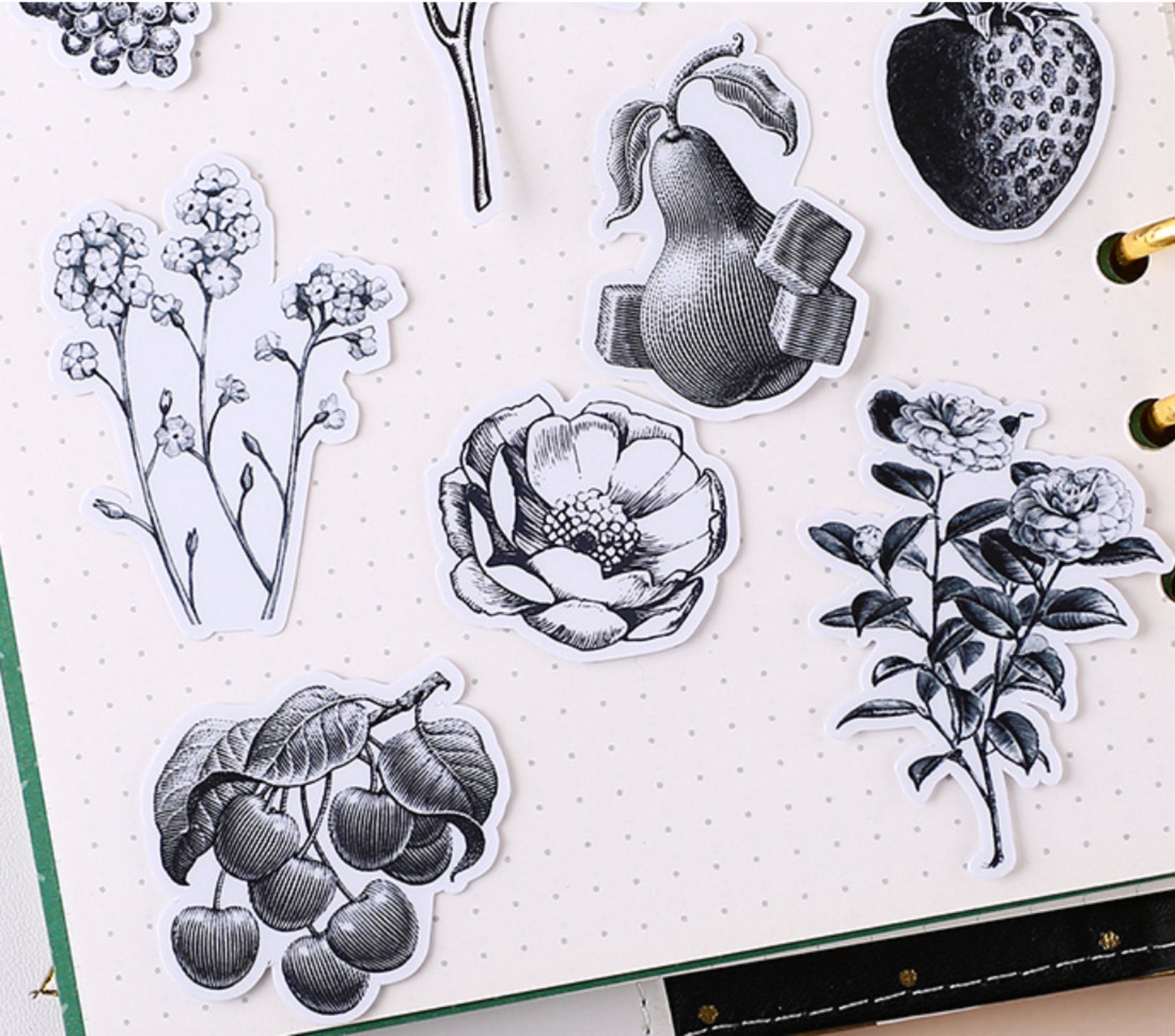 Black & White Flower Fruit Stickers 24pcs Beautiful Floral | Etsy