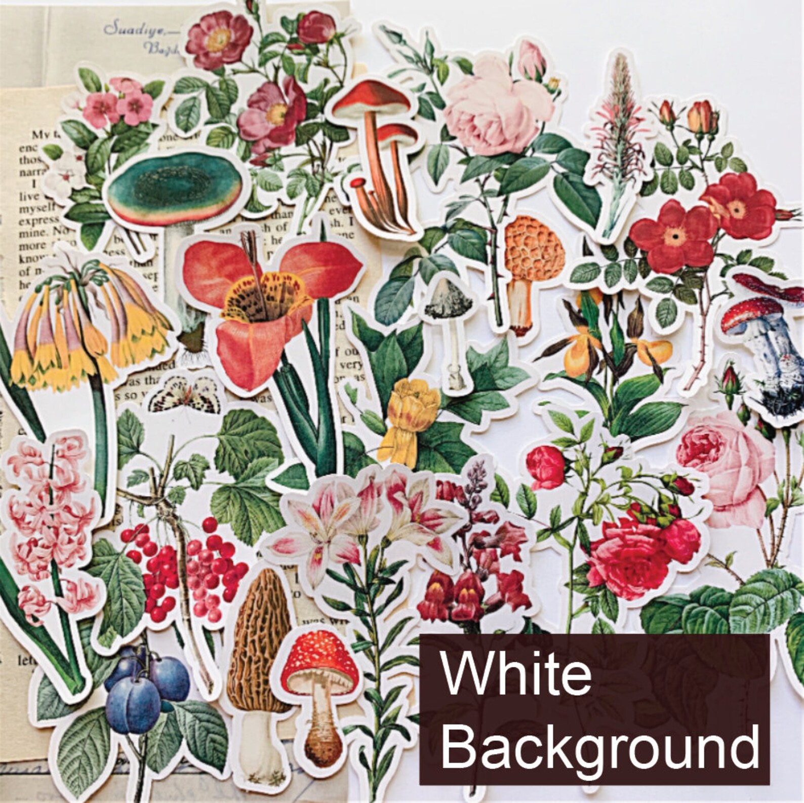 41pcs Botanical Flower Stickers Vintage Vellum Stickers Flower Sticker ...