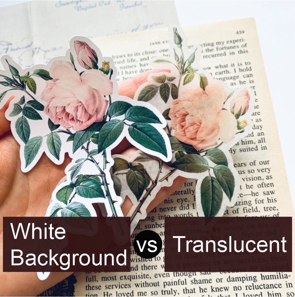 41pcs Botanical Flower Stickers Vintage Vellum Stickers Flower Sticker ...