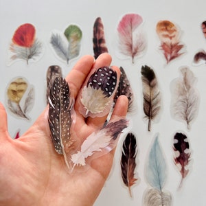 40 autocollants transparents vintage en forme de plumes, autocollant belle plume, autocollant plumes colorées, autocollants Bujo Junk Journal