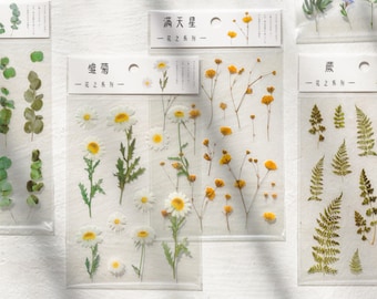 Transparent Botanical Flower Plant Sticker Sheets, Eucalyptus Fern Daisy Waterproof Journal Clear stickers, Planner Scrapbook Decoration