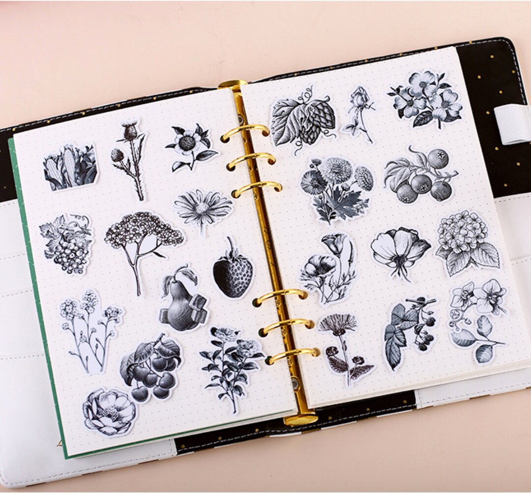 Black & White Flower Fruit Stickers 24pcs Beautiful Floral - Etsy