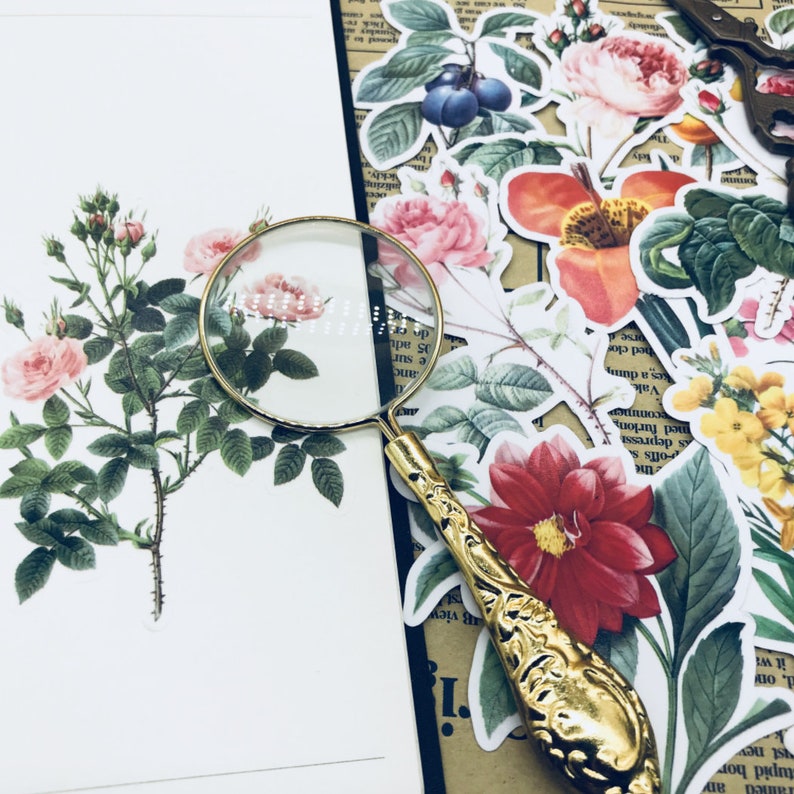 41pcs Botanical Flower Stickers Vintage Vellum Stickers Flower Etsy