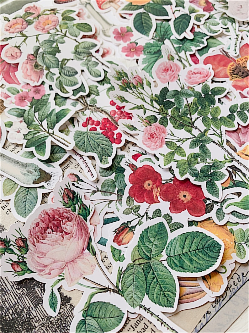 41pcs Botanical Flower Stickers Vintage Vellum Stickers Flower Etsy