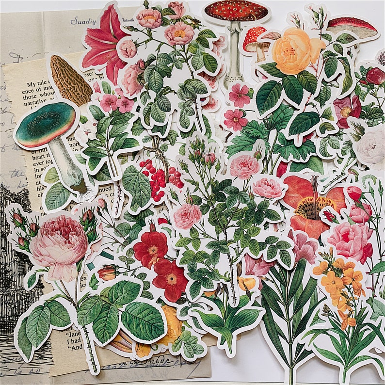 41pcs Botanical Flower Stickers Vintage Vellum Stickers Flower | Etsy