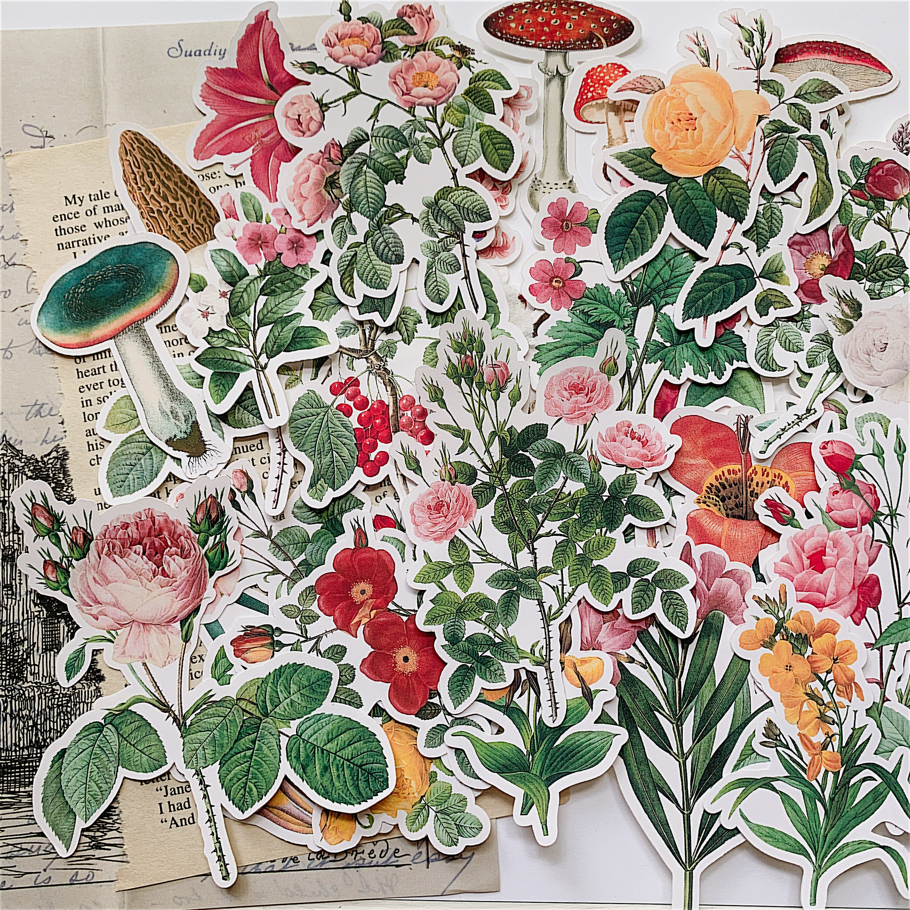 41pcs Botanical Flower Stickers Vintage Vellum Stickers Flower Sticker ...