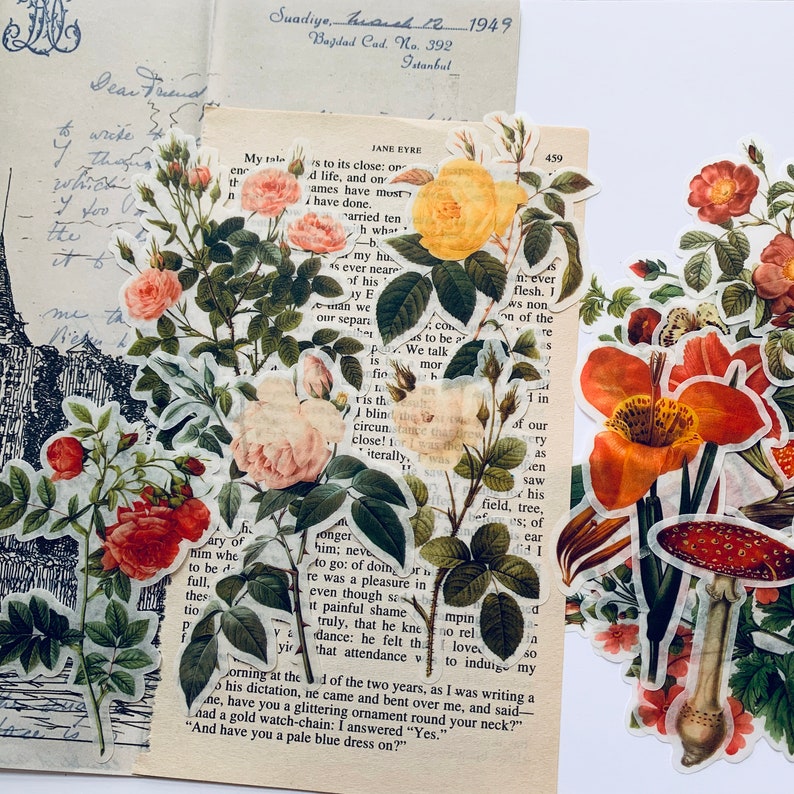 41pcs Botanical Flower Stickers Vintage Vellum Stickers Flower Etsy