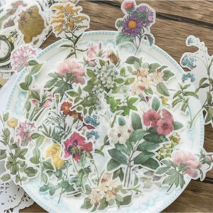 60pcs (30x2) Beautiful Flower Die Cut Stickers, Translucent Vintage Floral Rose Journal Washi Stickers, Planner Scrapbook Decoration