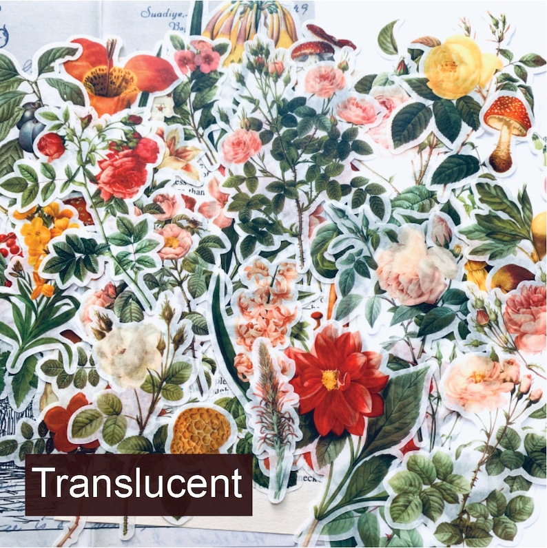 41pcs Botanical Flower Stickers Vintage Vellum Stickers Flower Etsy