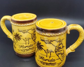 Vintage Florida Souvenir Salt and Pepper Shaker Set