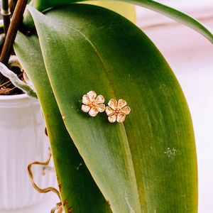 May include: A pair of gold flower-shaped earrings with a light pink centre, resting on a green leaf.