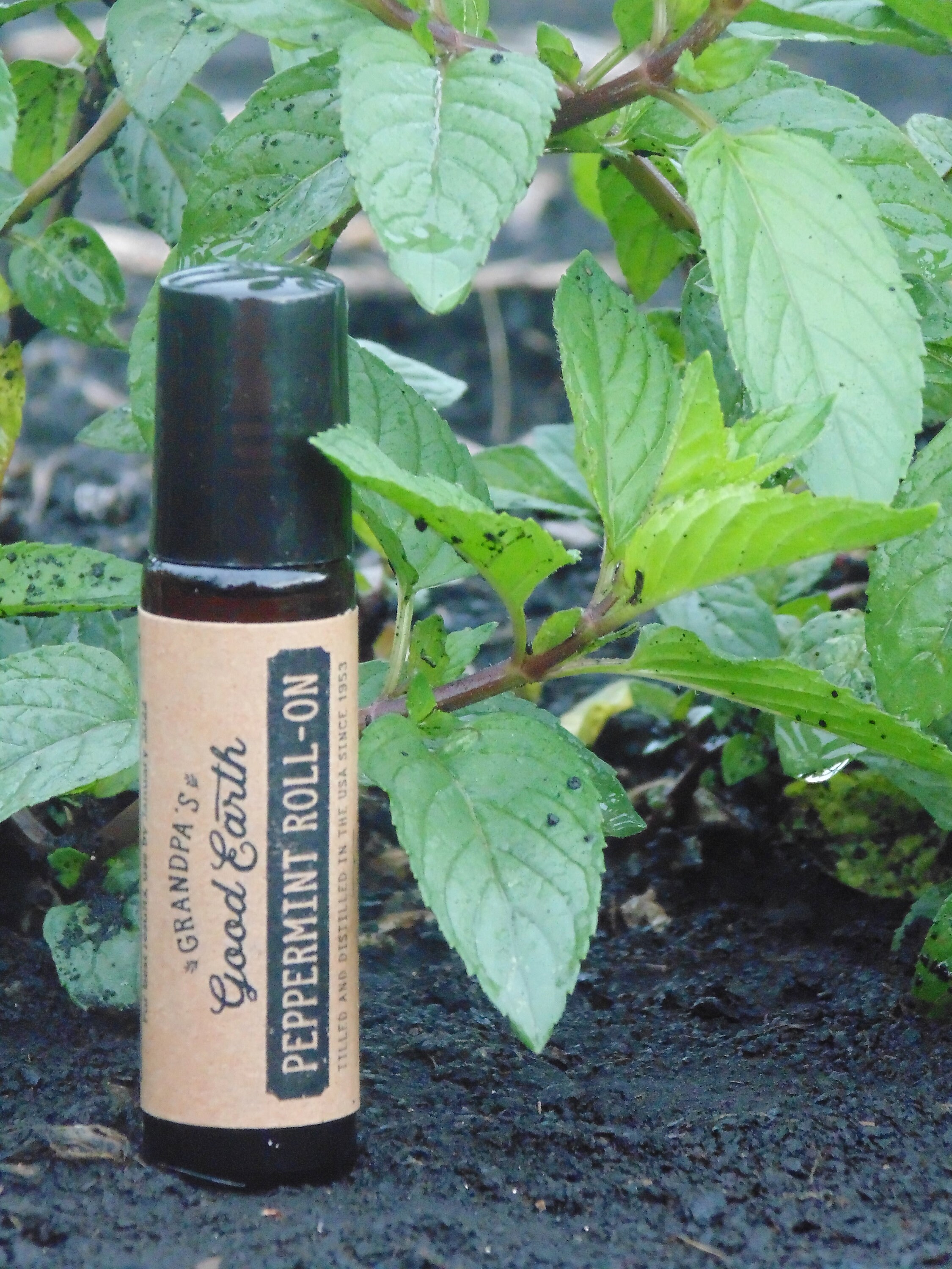 10 ML Peppermint Essential Oil Roll OnPeppermint Essential Etsy
