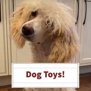 Dog Toys, Pet Toy, Rope Toy, Tug Toy, Toy, Puppy Toy