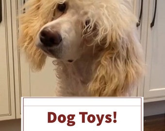 Dog Toys, Pet Toy, Rope Toy, Tug Toy, Toy, Puppy Toy