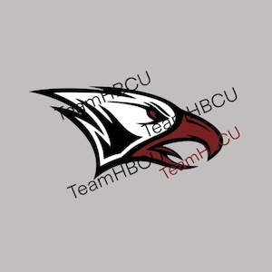 NCCU svg - North Carolina Central University inspired logo svg - Eagle Mascot - Law - Graduate - Alumni - Custom