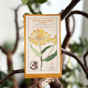 May include: A yellow flower seed packet with a drawing of a yellow flower and a butterfly. The packet is labeled "Helen's Flower Seeds" and "Helenium autumnale". The packet also includes the website "rochesterpollinators.org" and the height of the flower, "3' tall", and the bloom time, "July-Oct".