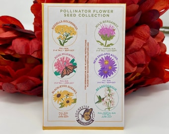 Pollinator Garden Flower Seed Mix, Michigan Native Plant Seeds, Midwest Wildflower Seed Packets, 6 Types To Attract Butterflies Birds Bees