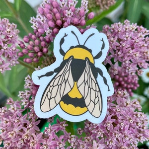 Bee Sticker, Vinyl Bee Decal, Nature Sticker, For Laptop, Water Bottle, Car Bumper