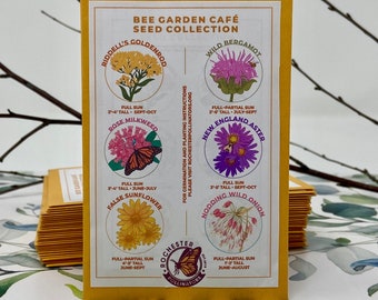 Bee Garden Flower Seed Mix, Michigan Native Plant Seeds, Midwest Wildflower Seed Packets, 6 Types To Attract Butterflies Birds & Bees