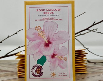 Rose Mallow Seeds, Michigan Native Plant Seeds, Flower Packets, Hibiscus Moscheutos, Pollinator Garden, Perennial Wildflowers