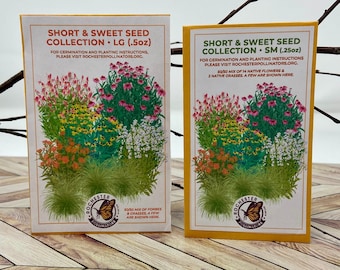 Short & Sweet Grass And Flower Seed Mix, Michigan Native Plants, Pollinator Garden, Alternative Lawn, Wildflower Meadow, Prairie Restoration