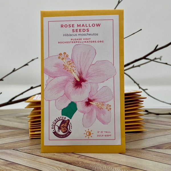 Rose Mallow Seeds, Michigan Native Plant Seeds, Hibiscus Flower Packets, Hibiscus Moscheutos, Pollinator Garden, Perennial Wildflowers