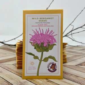 Puede incluir: Un paquete amarillo de semillas de bergamota silvestre con una ilustraci&oacute;n rosa y verde de la flor. El paquete tambi&eacute;n incluye el texto "Wild Bergamot Seeds", "Monarda fistulosa", "Please visit Rochesterpollinators.org", "2'-5' Tall", "July-Sept", y un logotipo para Rochester Pollinators con una mariposa.