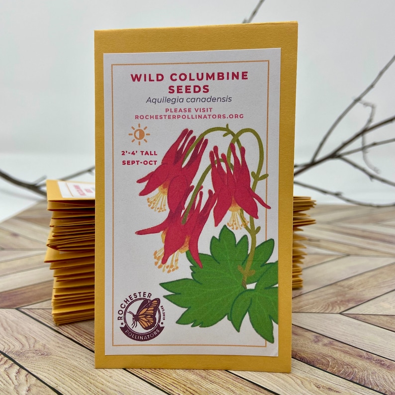 RochesterPollinators Wild Columbine Seeds - Thumbnail 3