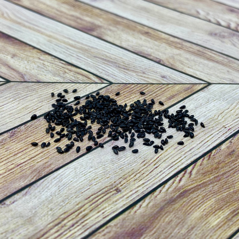 RochesterPollinators Wild Columbine Seeds - Thumbnail 4
