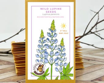 Wild Lupine Flower Seeds: Michigan Native, Pollinator Garden