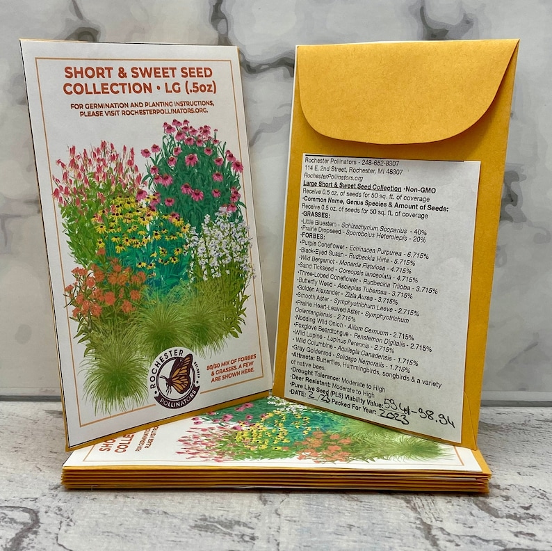 Short & Sweet Seed Collection native flower seed packets are shown in two sizes. Custom illustration shows orange, pink, purple and yellow flowers, next to the Rochester Pollinators logo.