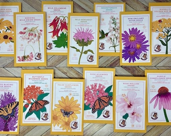 Michigan Native Plant Seeds, Perennial Flower Seeds, Wildflower Seed Packets, Pollinator Garden, Attract Butterflies Birds & Bees