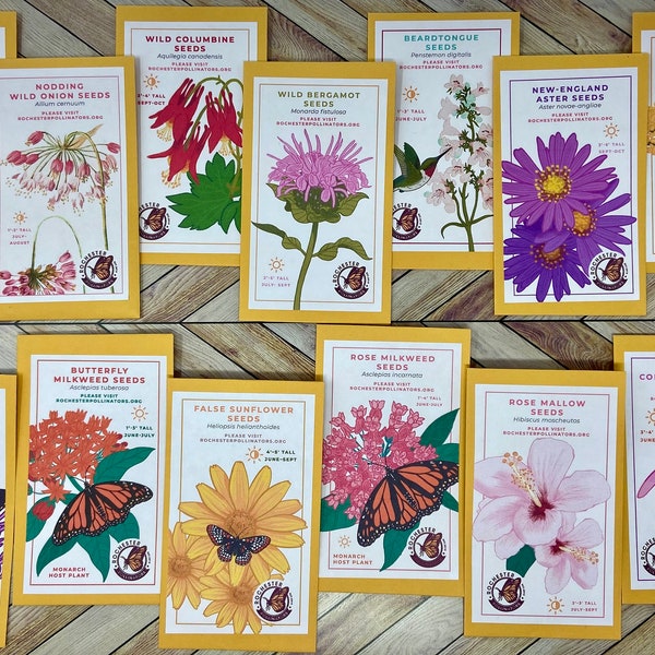 Michigan Native Plant Seeds, Perennial Flower Seeds, Wildflower Seed Packets, Pollinator Garden, Attract Butterflies Birds & Bees