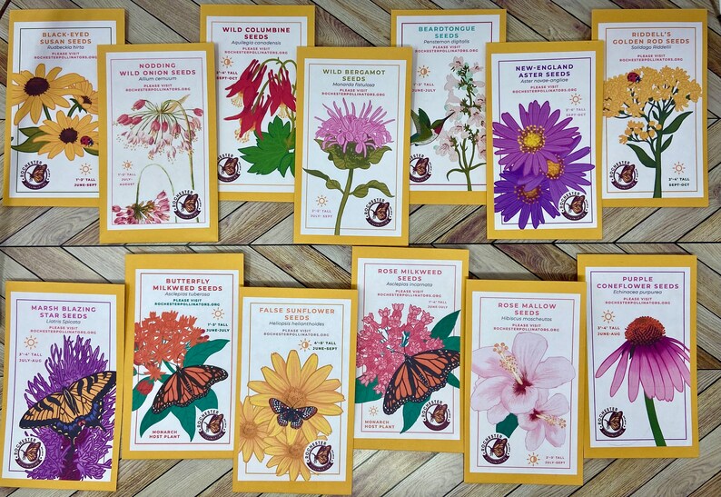 Michigan native plant seeds: Swamp Milkweed, Butterfly Weed, Wild Bergamot, Purple Coneflower, Riddell’s Goldenrod, New England Aster, Wild Columbine, Marsh Blazing Star, Black-Eyed Susan, Rose Mallow, Wild Onion, False Sunflower, and Beardtongue.