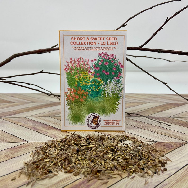 May include: A packet of wildflower seeds called "Short & Sweet Seed Collection" with a picture of the flowers on the front. The packet is labeled as .5 oz and is from Rochester Pollinators.