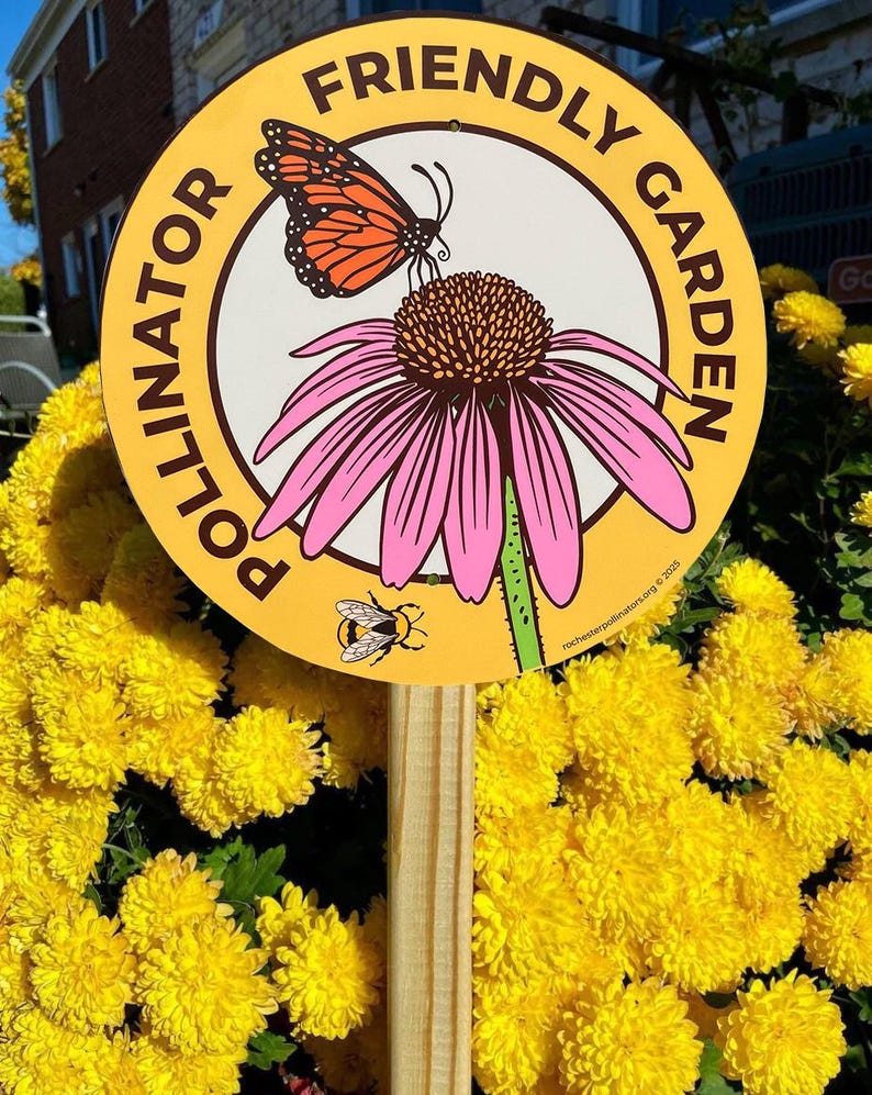 Enseigne Jardin des papillons : marqueur de fleurs sauvages en aluminium respectueux des pollinisateurs image 3