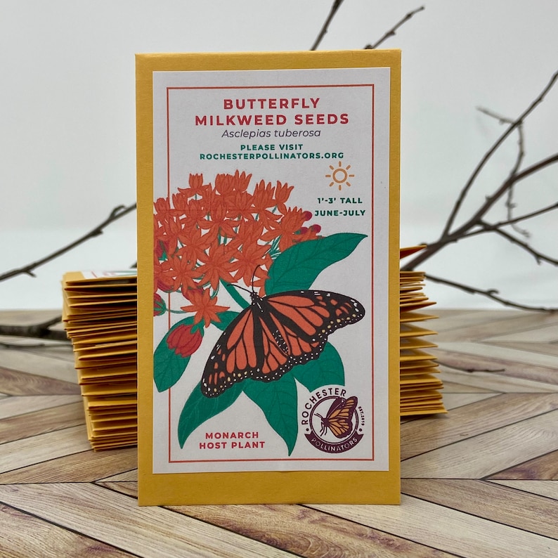 Puede incluir: Un paquete amarillo de semillas de Asclepia para mariposas para plantar. El paquete presenta una mariposa monarca en una planta de asclepia con flores naranjas. El texto en el paquete dice "Semillas de Asclepia para mariposas Asclepias tuberosa Visite RochesterPollinators.org 1'-3' de alto Junio-Julio Planta hu&eacute;sped de la monarca".