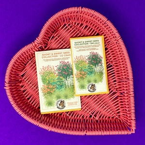 Short & Sweet Seed Collection native flower seed packets are shown in two sizes. Custom illustration shows orange, pink, purple and yellow flowers, next to the Rochester Pollinators logo.