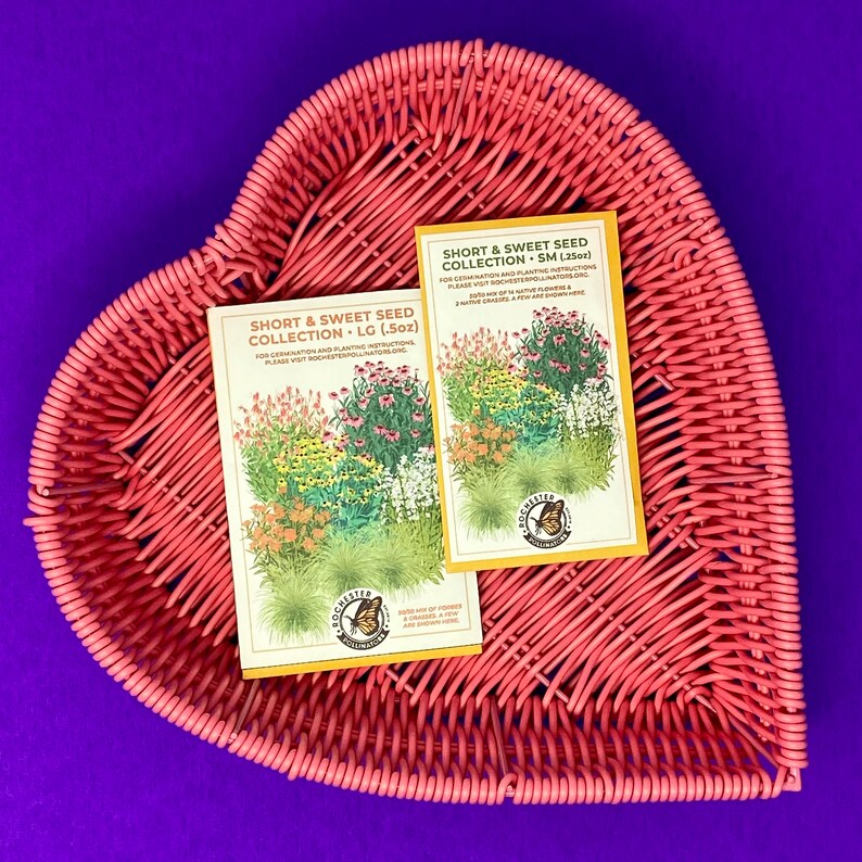 Short & Sweet Seed Collection native flower seed packets are shown in two sizes. Custom illustration shows orange, pink, purple and yellow flowers, next to the Rochester Pollinators logo.