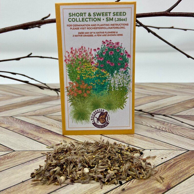 May include: A small yellow packet of wildflower seeds with a colorful illustration of the flowers and a butterfly on the front. The packet is labeled "Short & Sweet Seed Collection - SM (.25oz)" and includes instructions to visit Rochesterpollinators.org for germination and planting instructions. The packet is sitting on a wooden surface with a pile of seeds in front of it.