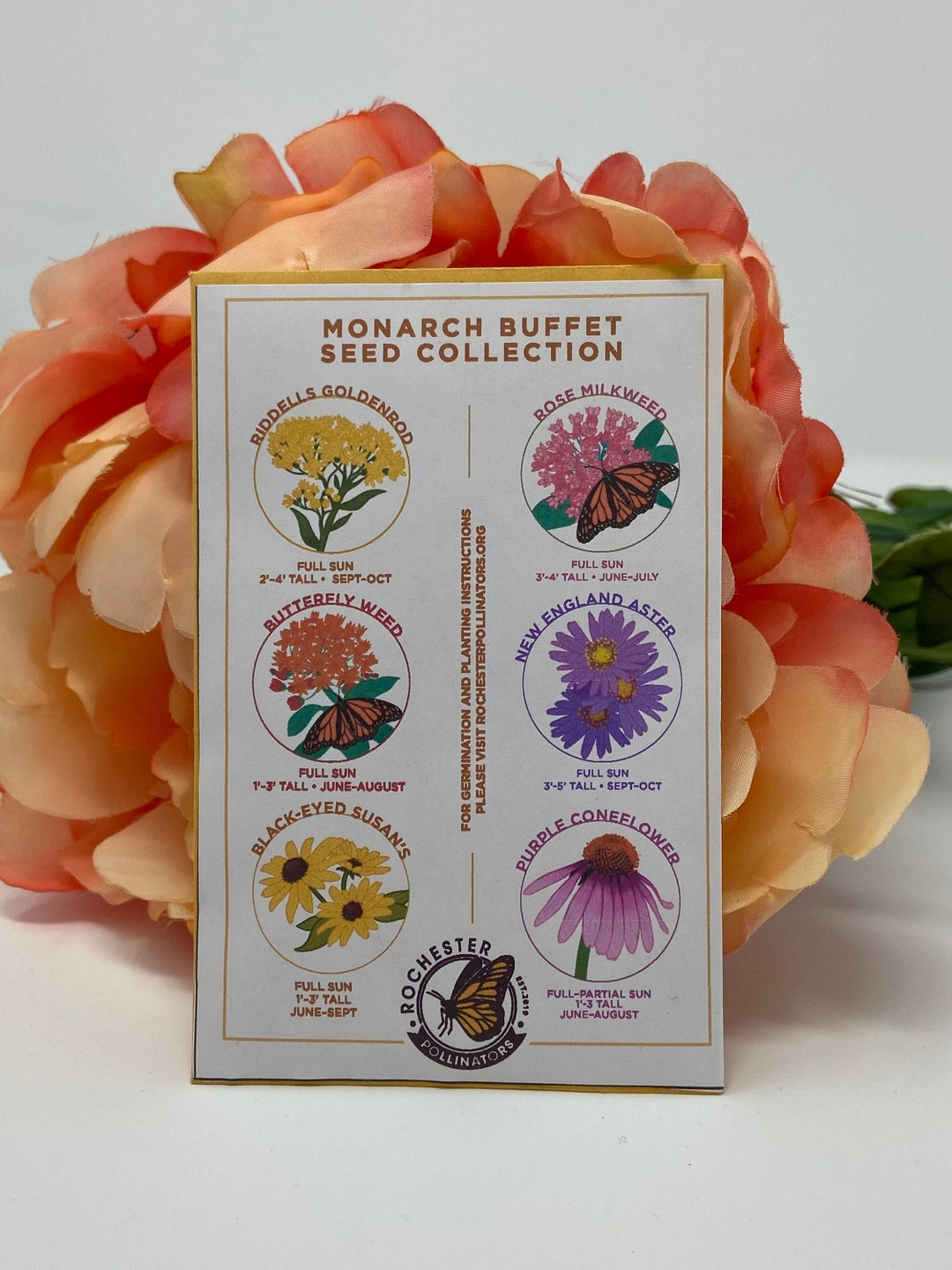 Butterfly Garden Seed Packets, 6 Types Pollinator Flower Seeds