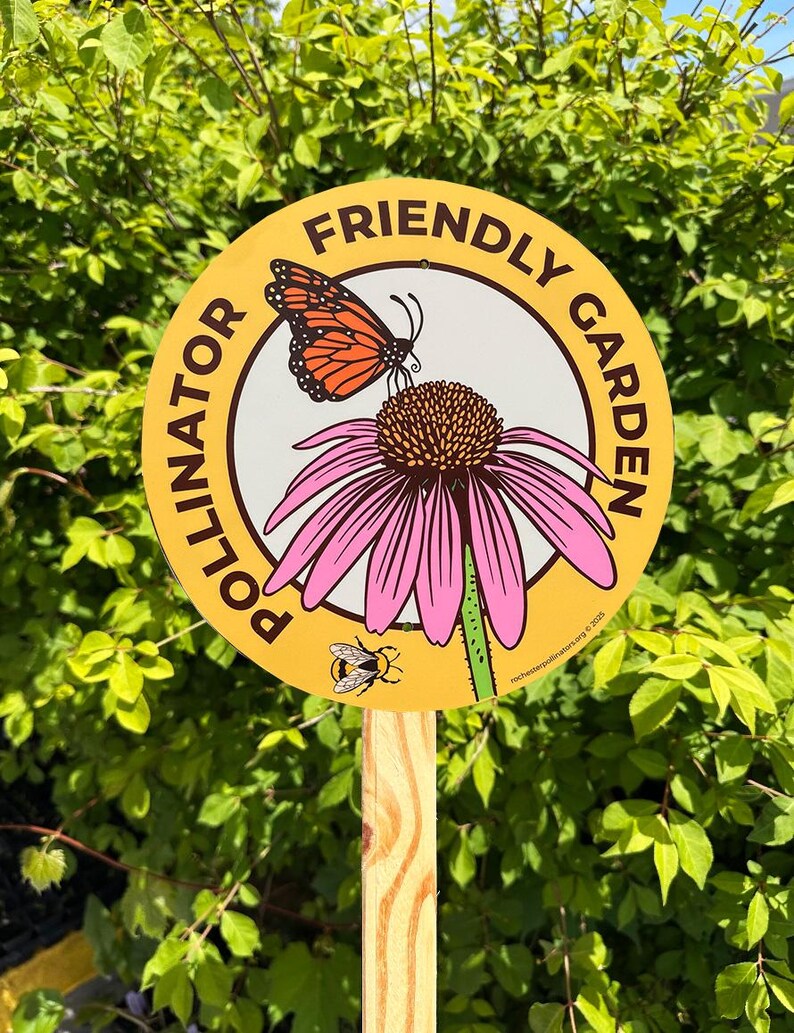Enseigne Jardin des papillons : marqueur de fleurs sauvages en aluminium respectueux des pollinisateurs image 5