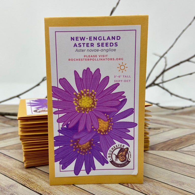 Puede incluir: Un paquete de semillas de Aster de Nueva Inglaterra, con una ilustraci&oacute;n de una flor morada y el texto "NEW-ENGLAND ASTER SEEDS" y "ROCHESTERPOLLINATORS.ORG".